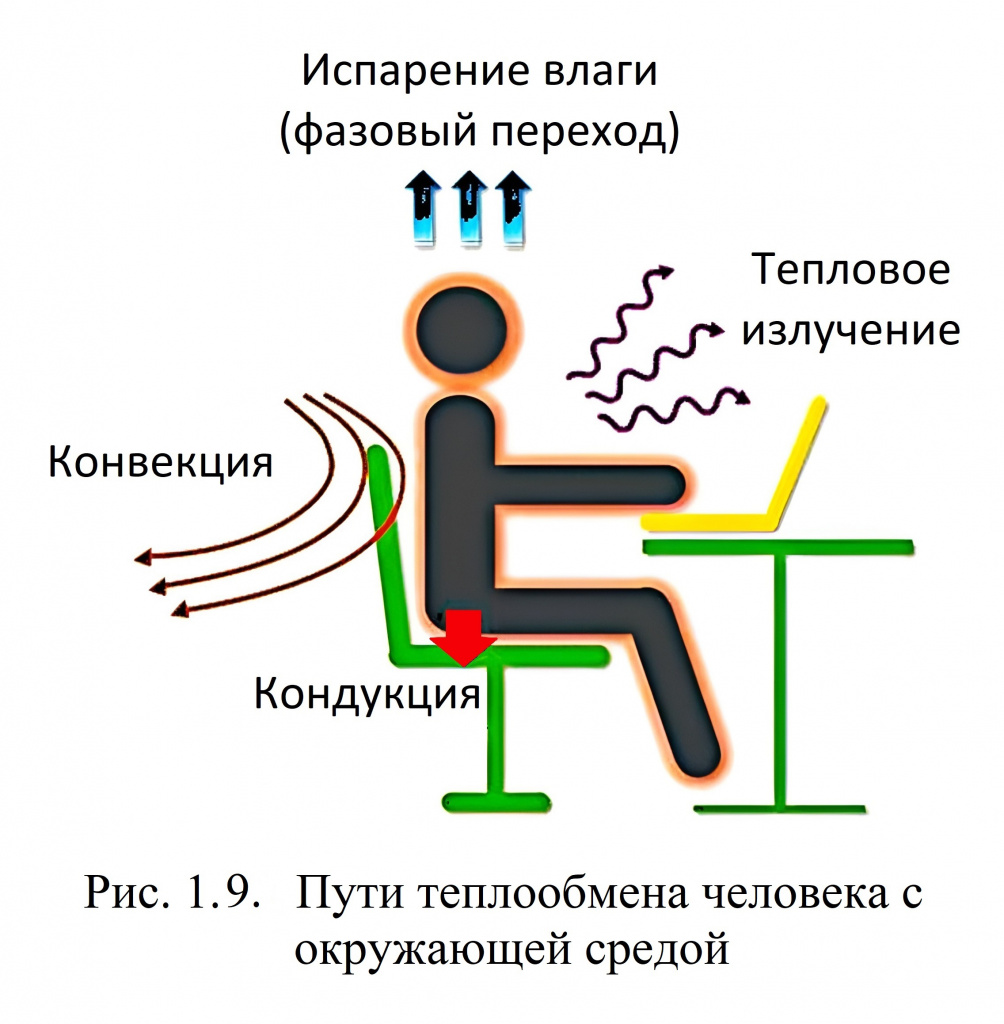 Рис. 1.9. Пути теплообмена человека в помещении